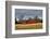 Three Barns, Kansas, USA-Michael Scheufler-Framed Photographic Print