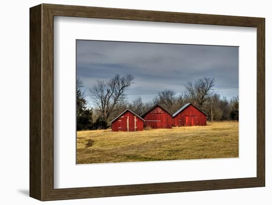 Three Barns, Kansas, USA-Michael Scheufler-Framed Photographic Print