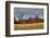 Three Barns, Kansas, USA-Michael Scheufler-Framed Photographic Print