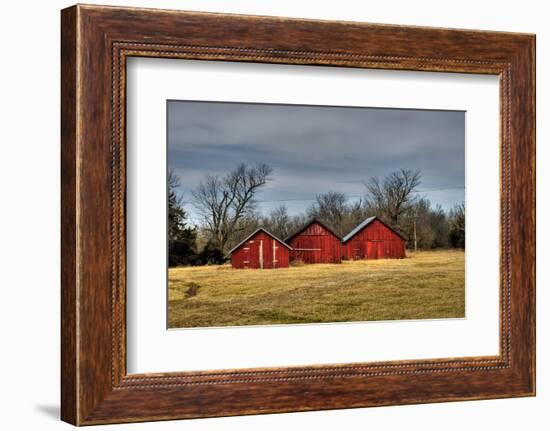 Three Barns, Kansas, USA-Michael Scheufler-Framed Photographic Print