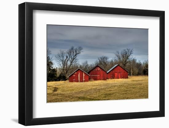 Three Barns, Kansas, USA-Michael Scheufler-Framed Photographic Print