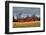 Three Barns, Kansas, USA-Michael Scheufler-Framed Photographic Print