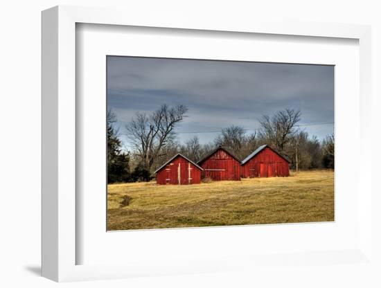Three Barns, Kansas, USA-Michael Scheufler-Framed Photographic Print