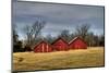 Three Barns, Kansas, USA-Michael Scheufler-Mounted Photographic Print