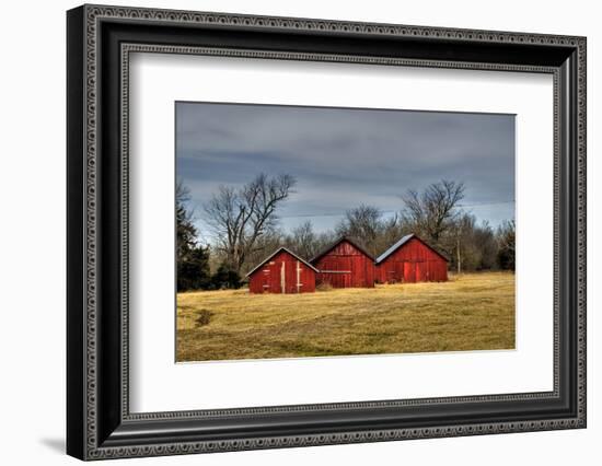 Three Barns, Kansas, USA-Michael Scheufler-Framed Photographic Print