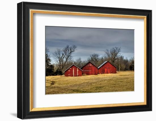 Three Barns, Kansas, USA-Michael Scheufler-Framed Photographic Print