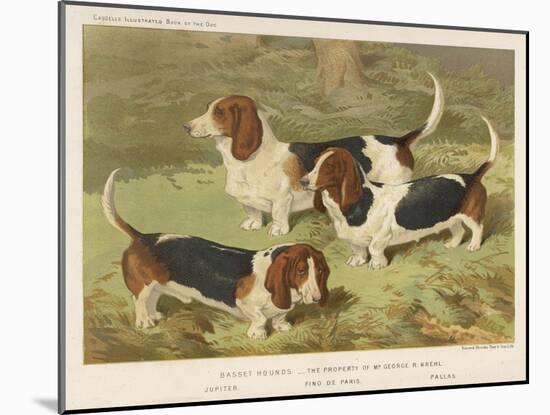 Three Basset Hounds-null-Mounted Art Print