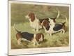Premium Giclee Print