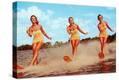 Stretched Canvas Print
