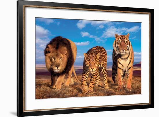 Three Big Cats-null-Framed Art Print