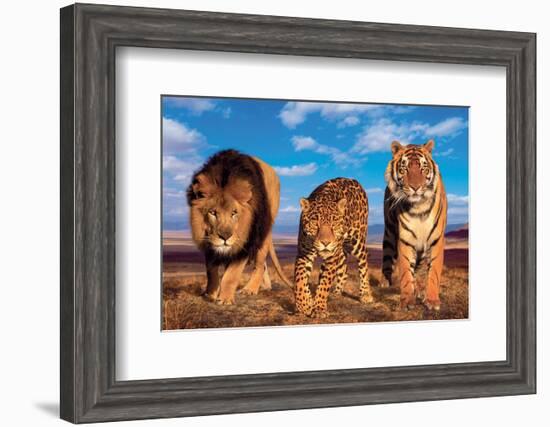 Three Big Cats-null-Framed Art Print