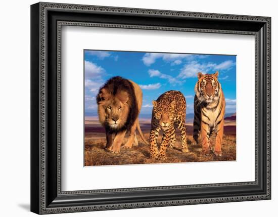 Three Big Cats-null-Framed Art Print