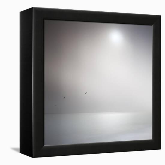 Three Birds Xi-Doug Chinnery-Framed Premier Image Canvas