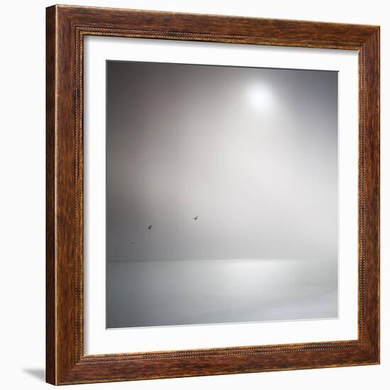 Three Birds Xi-Doug Chinnery-Framed Premium Photographic Print