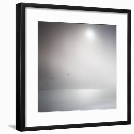 Three Birds Xi-Doug Chinnery-Framed Premium Photographic Print