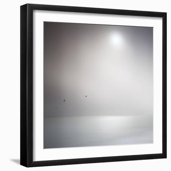 Three Birds Xi-Doug Chinnery-Framed Premium Photographic Print