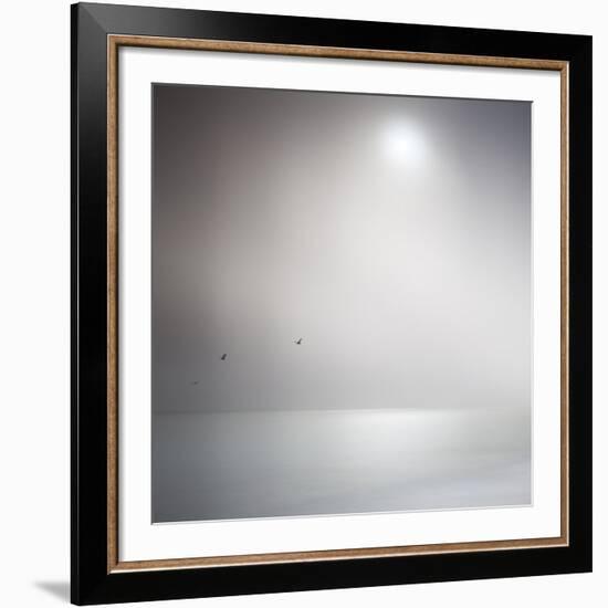 Three Birds Xi-Doug Chinnery-Framed Premium Photographic Print