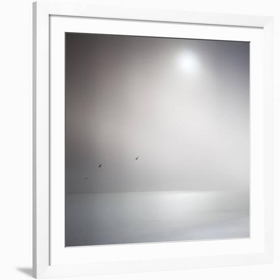 Three Birds Xi-Doug Chinnery-Framed Premium Photographic Print