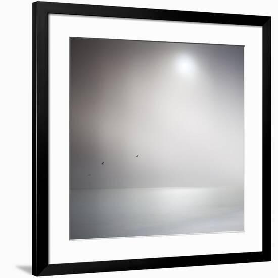 Three Birds Xi-Doug Chinnery-Framed Premium Photographic Print