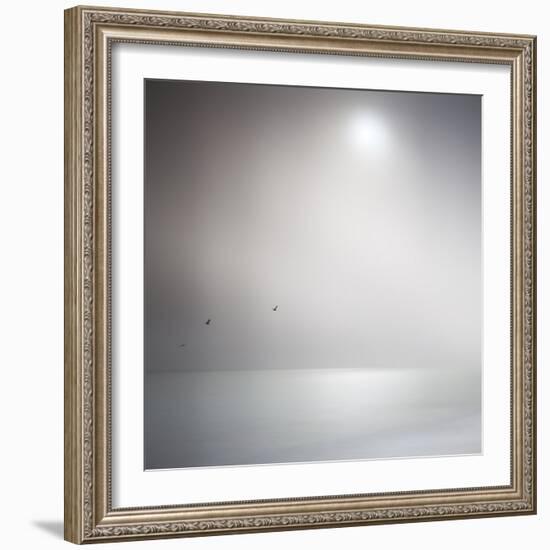 Three Birds Xi-Doug Chinnery-Framed Photographic Print