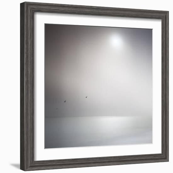 Three Birds Xi-Doug Chinnery-Framed Photographic Print