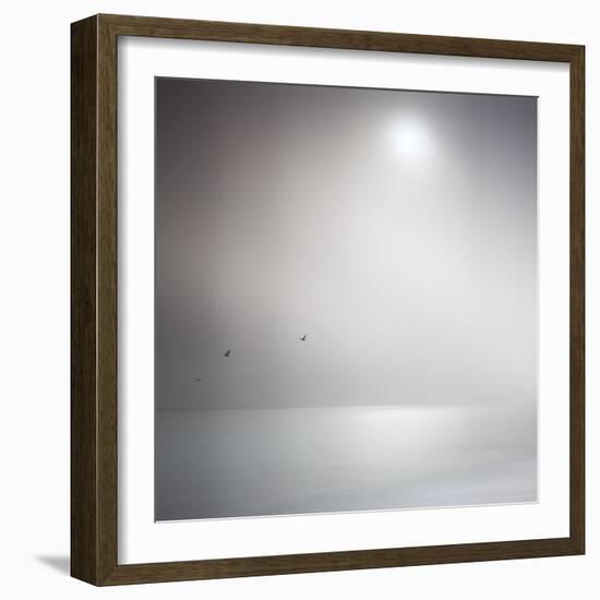 Three Birds Xi-Doug Chinnery-Framed Photographic Print