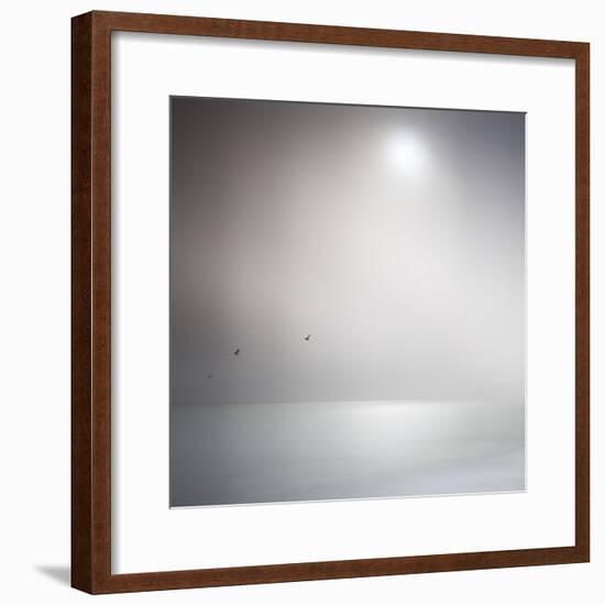 Three Birds Xi-Doug Chinnery-Framed Photographic Print