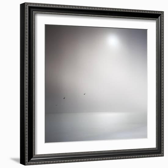 Three Birds Xi-Doug Chinnery-Framed Photographic Print