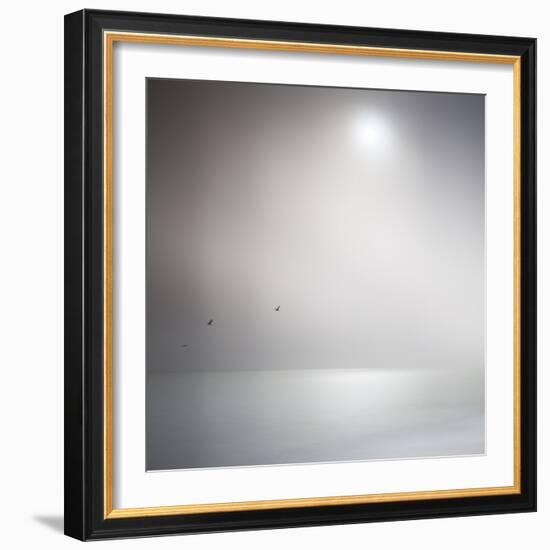 Three Birds Xi-Doug Chinnery-Framed Photographic Print