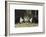 Three Black and White Dutch Domestic Rabbits-null-Framed Photographic Print