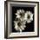 Three Black-Eyed Susans-Michael Harrison-Framed Giclee Print