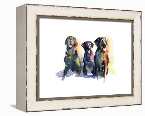 Three Black Labs, 2015-John Keeling-Framed Premier Image Canvas