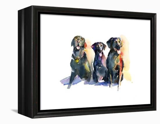 Three Black Labs, 2015-John Keeling-Framed Premier Image Canvas