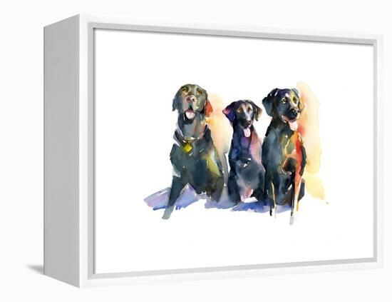 Three Black Labs, 2015-John Keeling-Framed Premier Image Canvas