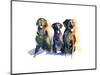 Three Black Labs, 2015-John Keeling-Mounted Giclee Print