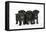 Three Black Pug Puppies (6 Weeks Old)-null-Framed Premier Image Canvas