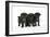 Three Black Pug Puppies (6 Weeks Old)-null-Framed Photographic Print