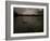 Three Black Swans on a Lake During a Storm in Ibirapuera Park, Sao Paulo, Brazil-Alex Saberi-Framed Photographic Print