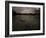 Three Black Swans on a Lake During a Storm in Ibirapuera Park, Sao Paulo, Brazil-Alex Saberi-Framed Photographic Print