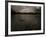 Three Black Swans on a Lake During a Storm in Ibirapuera Park, Sao Paulo, Brazil-Alex Saberi-Framed Photographic Print