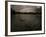 Three Black Swans on a Lake During a Storm in Ibirapuera Park, Sao Paulo, Brazil-Alex Saberi-Framed Photographic Print