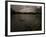 Three Black Swans on a Lake During a Storm in Ibirapuera Park, Sao Paulo, Brazil-Alex Saberi-Framed Photographic Print