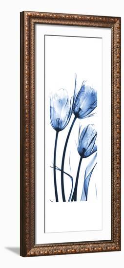 Three Blue Tulips-Albert Koetsier-Framed Premium Giclee Print