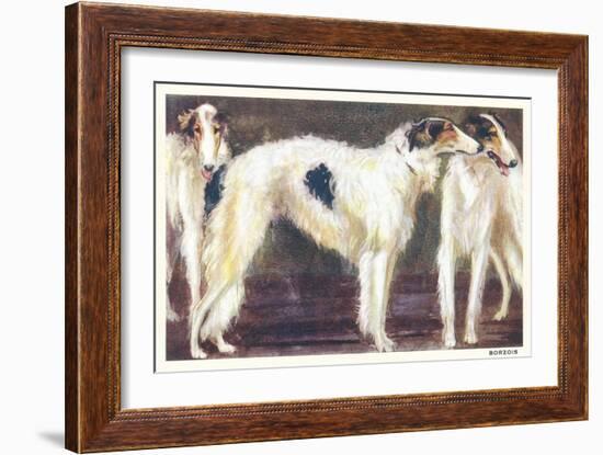 Three Borzois-null-Framed Art Print