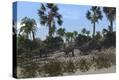 Stretched Canvas Print