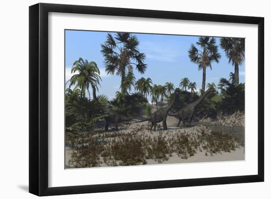 Three Brachiosaurus Dinosaurs Grazing on Vegetation-null-Framed Art Print