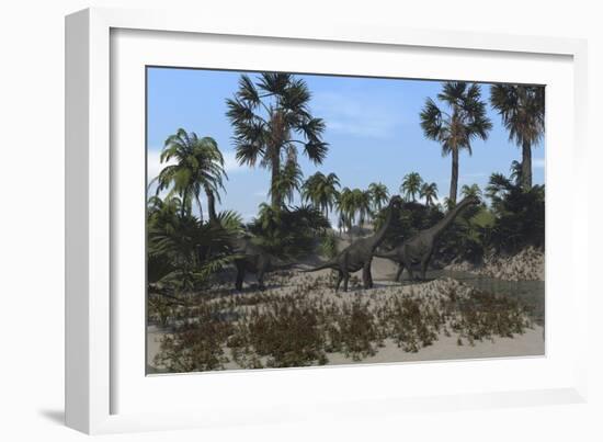 Three Brachiosaurus Dinosaurs Grazing on Vegetation-null-Framed Art Print