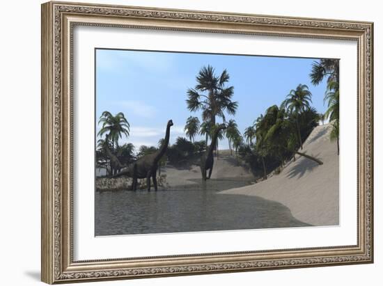 Three Brachiosaurus Dinosaurs Grazing-null-Framed Art Print