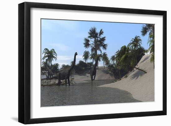 Three Brachiosaurus Dinosaurs Grazing-null-Framed Art Print