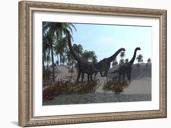 Three Brachiosaurus Dinosaurs Grazing-null-Framed Art Print